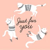 Feline Fun - Happy Birthday Card